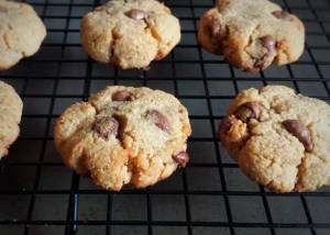 Coconut Flour Chocolate Chip Cookies