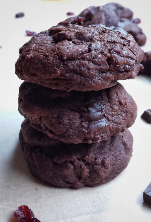 Double Chocolate Cranberry Cookies